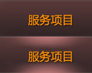服务项目